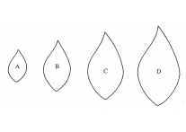 leaf set of 4 - 362